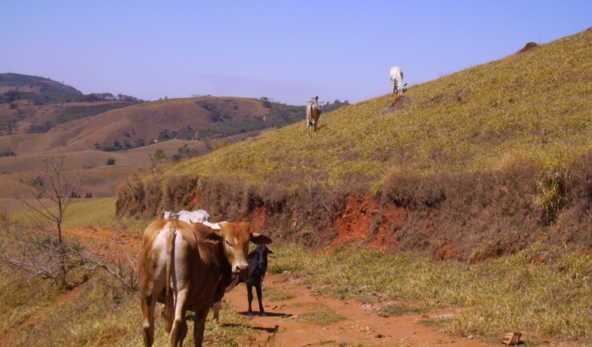 Fazenda, 170 hectares - Foto 15