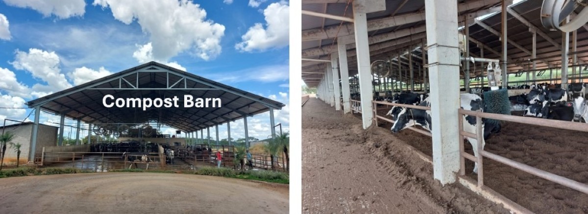 Fazenda, 795 hectares - Foto 8