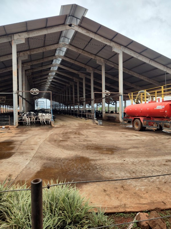 Fazenda, 795 hectares - Foto 19