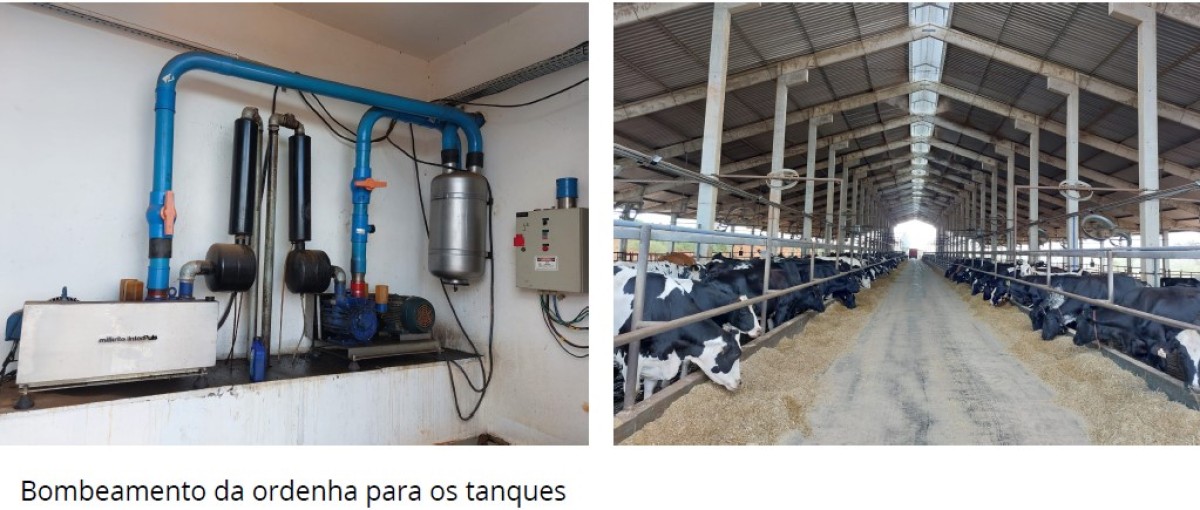 Fazenda, 795 hectares - Foto 14