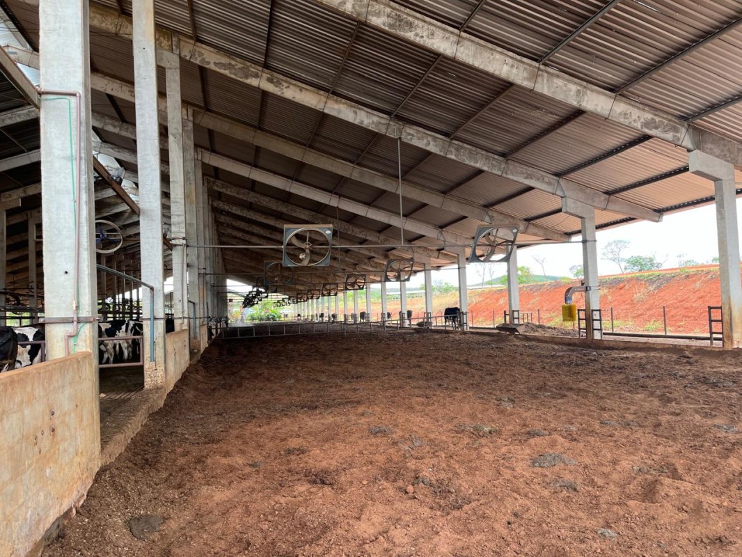 Fazenda, 795 hectares - Foto 15