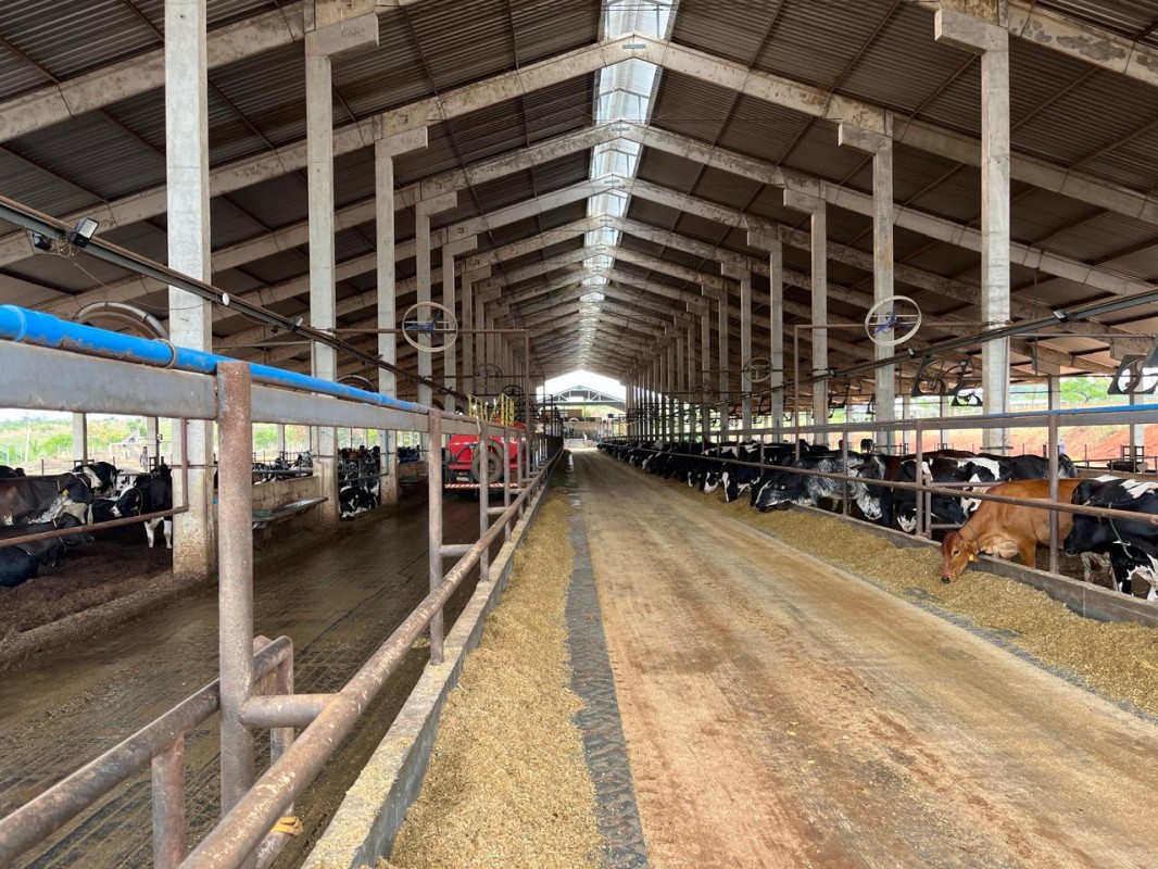 Fazenda, 795 hectares - Foto 9