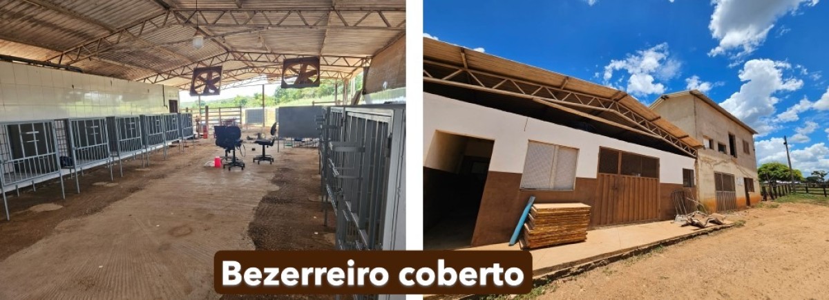 Fazenda, 795 hectares - Foto 24
