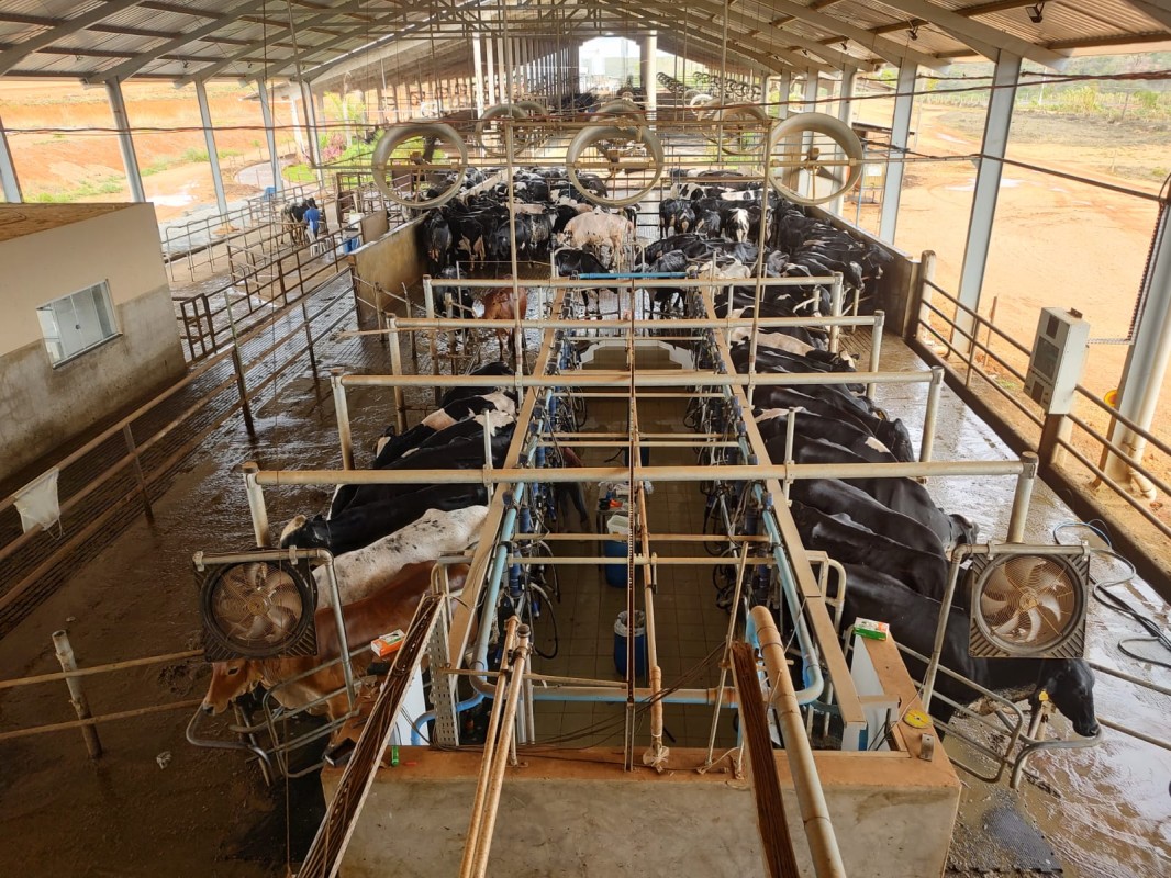 Fazenda, 795 hectares - Foto 4