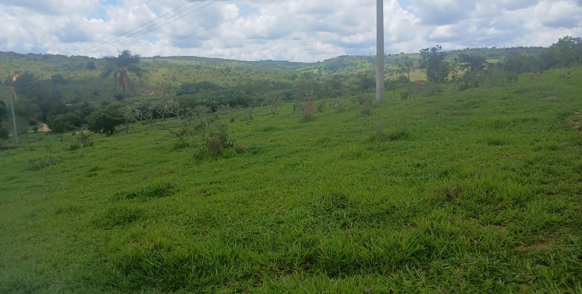 Fazenda, 277 hectares - Foto 6