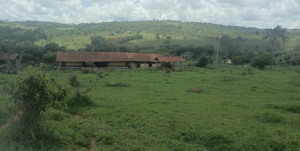 Fazenda, 277 hectares - Foto 4