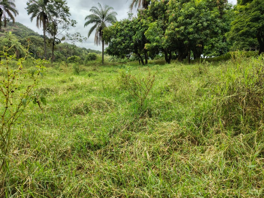 Fazenda, 201 hectares - Foto 8