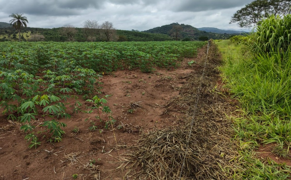Fazenda, 201 hectares - Foto 21