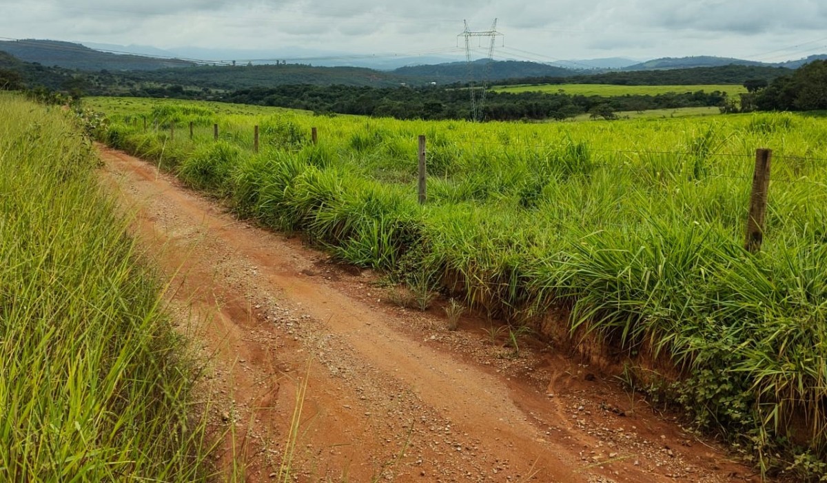 Fazenda, 201 hectares - Foto 15