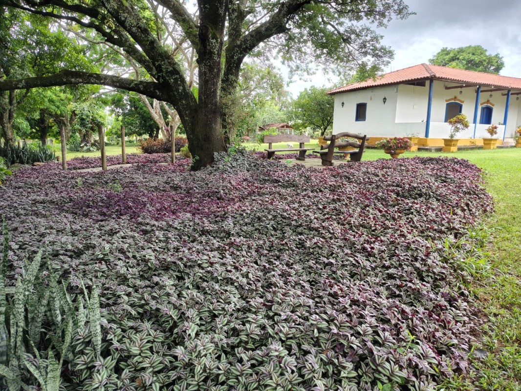 Fazenda, 201 hectares - Foto 1