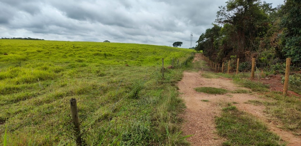 Fazenda, 201 hectares - Foto 14