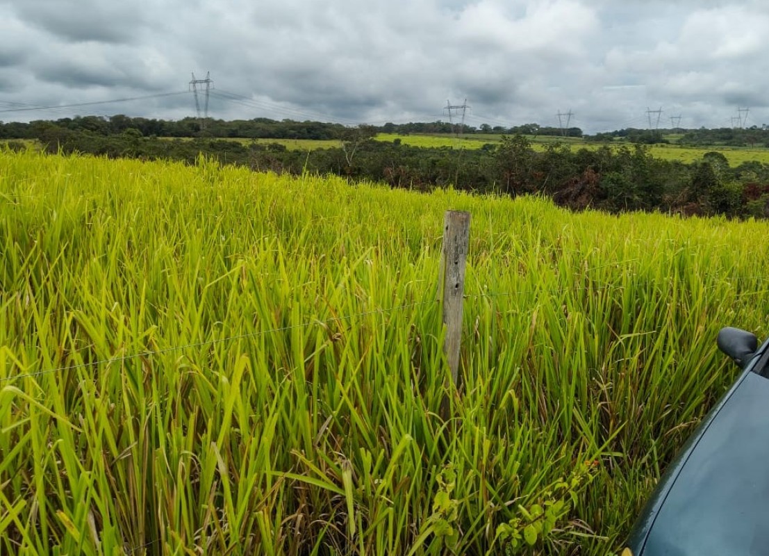 Fazenda, 201 hectares - Foto 5