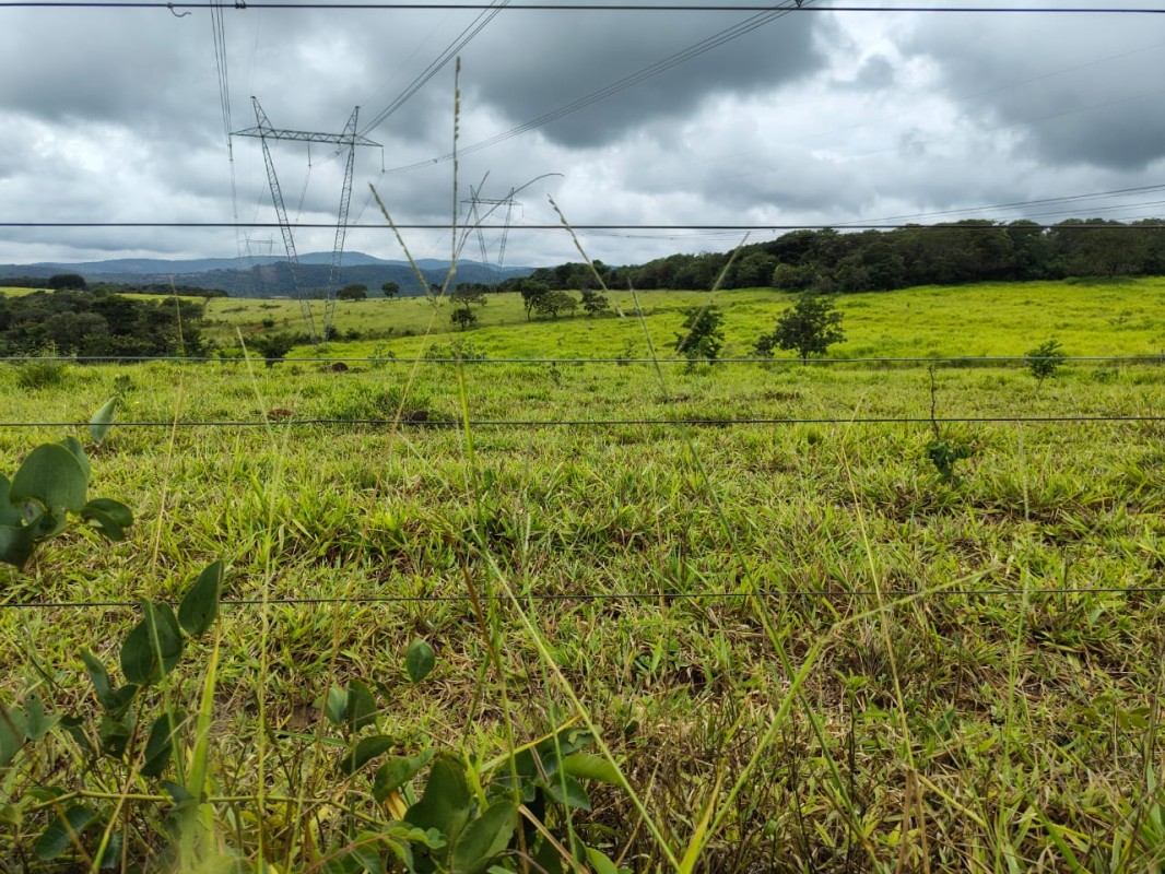Fazenda, 201 hectares - Foto 16