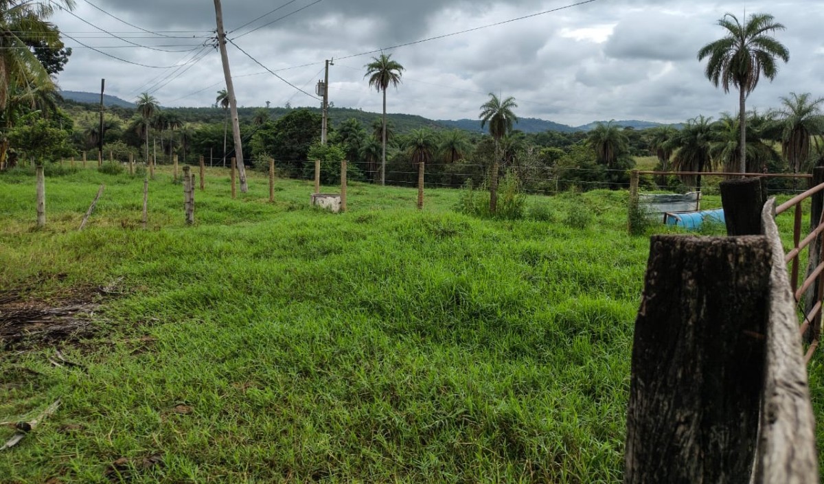 Fazenda, 201 hectares - Foto 11