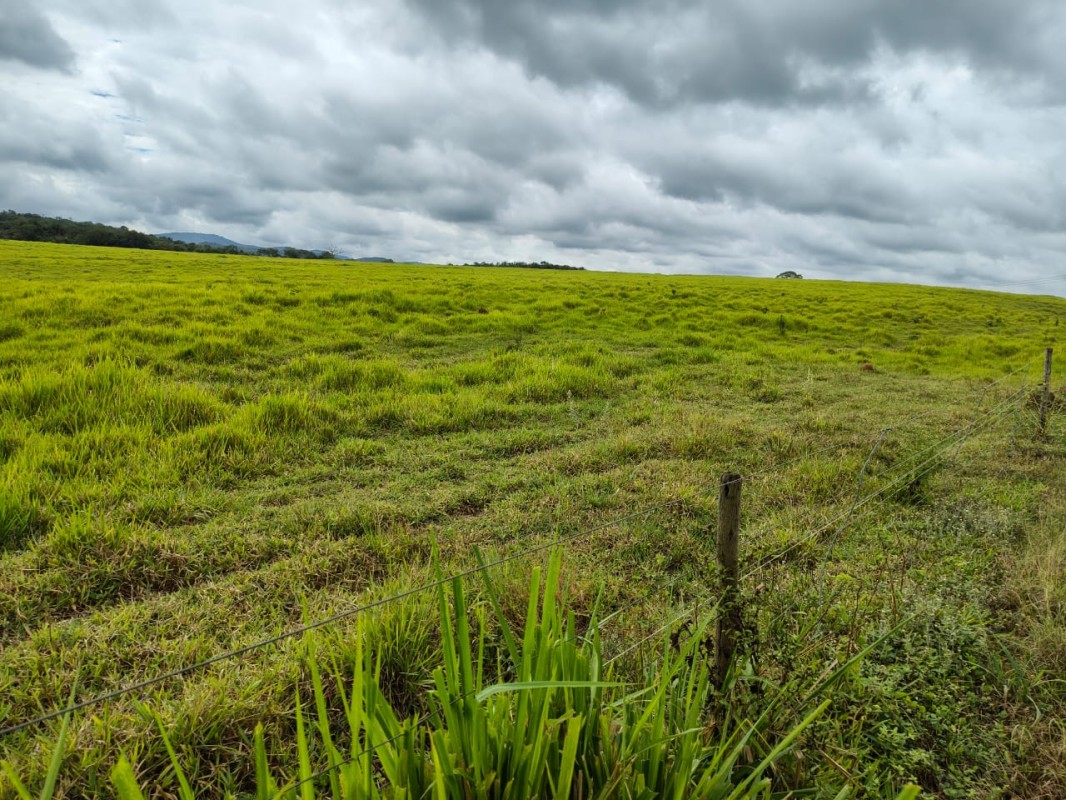 Fazenda, 201 hectares - Foto 2