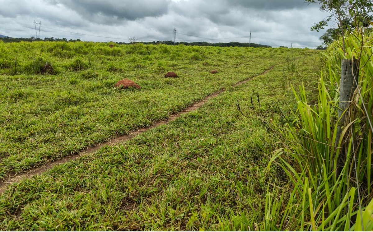 Fazenda, 201 hectares - Foto 6