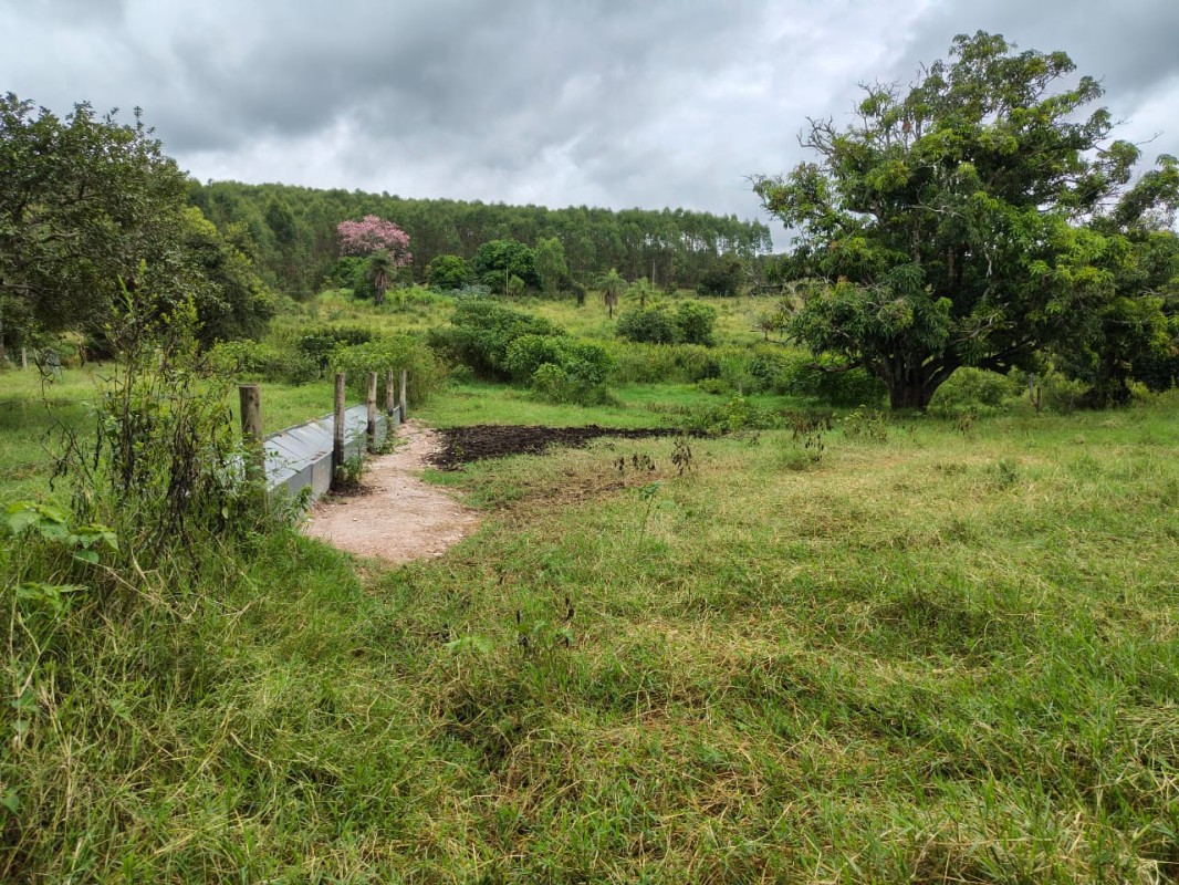 Fazenda, 201 hectares - Foto 7