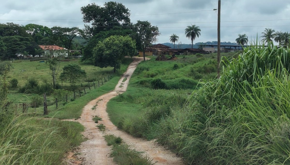 Fazenda, 201 hectares - Foto 25