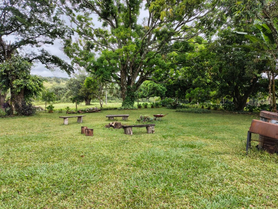Fazenda, 201 hectares - Foto 24