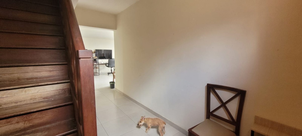 Casa, 4 quartos, 200 m² - Foto 6