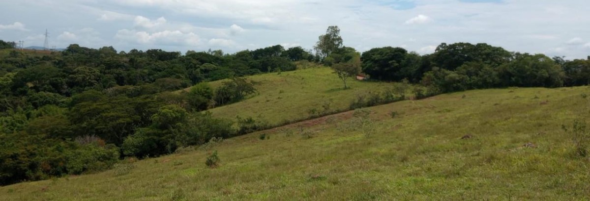 Fazenda, 142 hectares - Foto 16