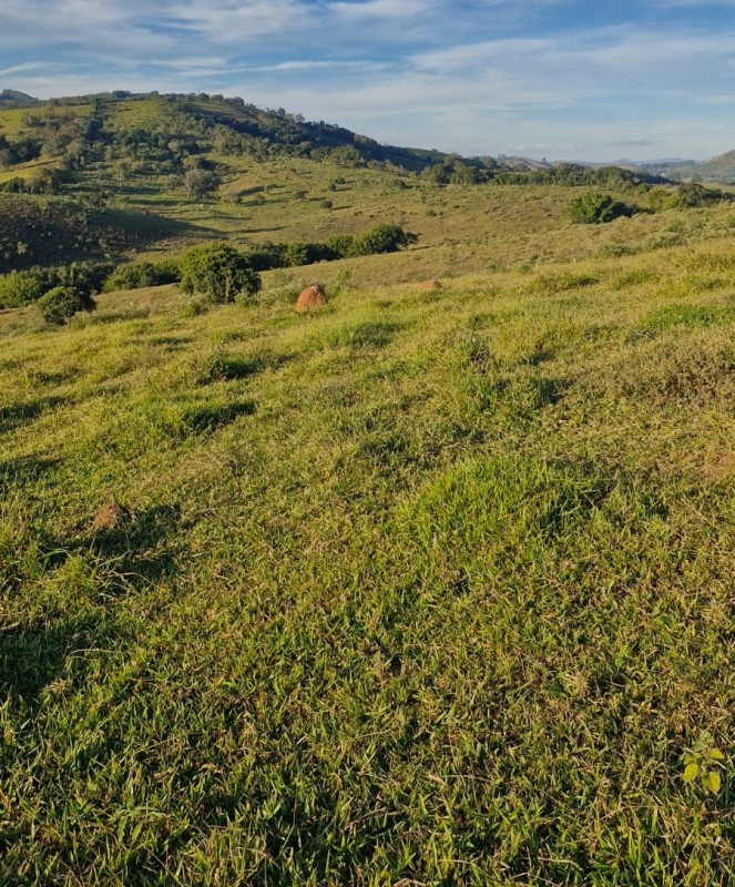 Fazenda, 142 hectares - Foto 19
