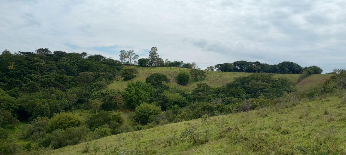 Fazenda, 142 hectares - Foto 18