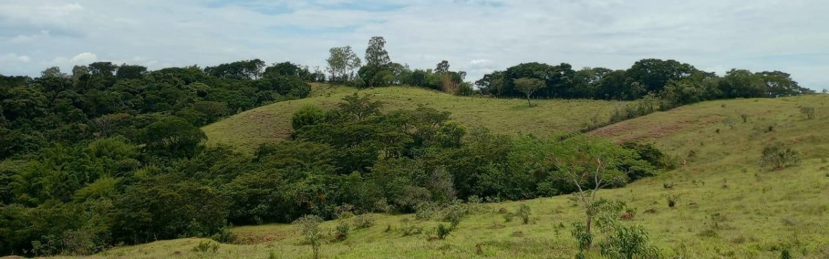 Fazenda, 142 hectares - Foto 15