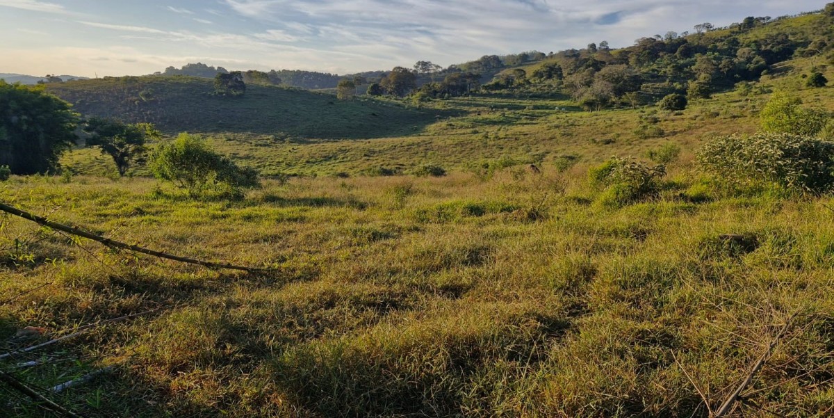 Fazenda, 142 hectares - Foto 22