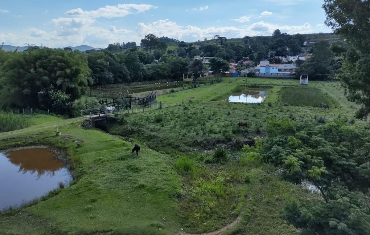 Fazenda, 142 hectares - Foto 8