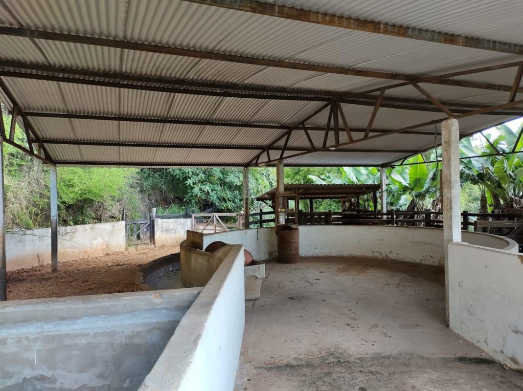 Fazenda, 142 hectares - Foto 5