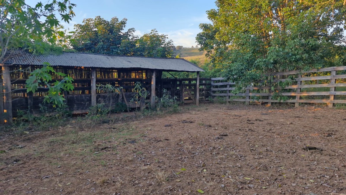 Fazenda, 142 hectares - Foto 7