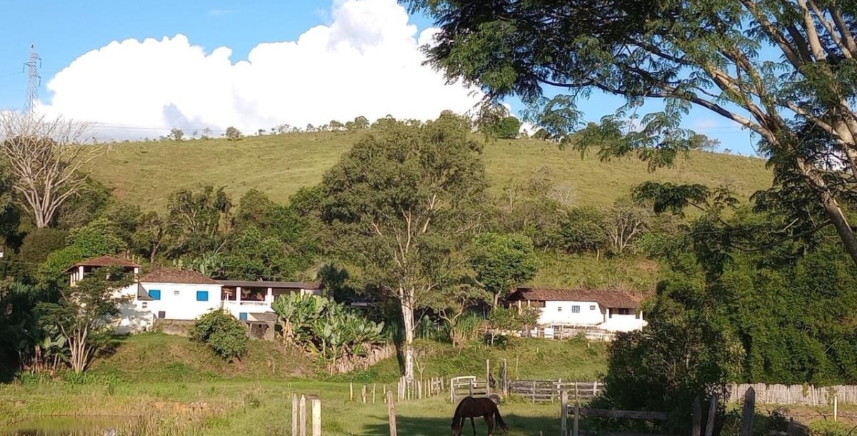 Fazenda, 142 hectares - Foto 9