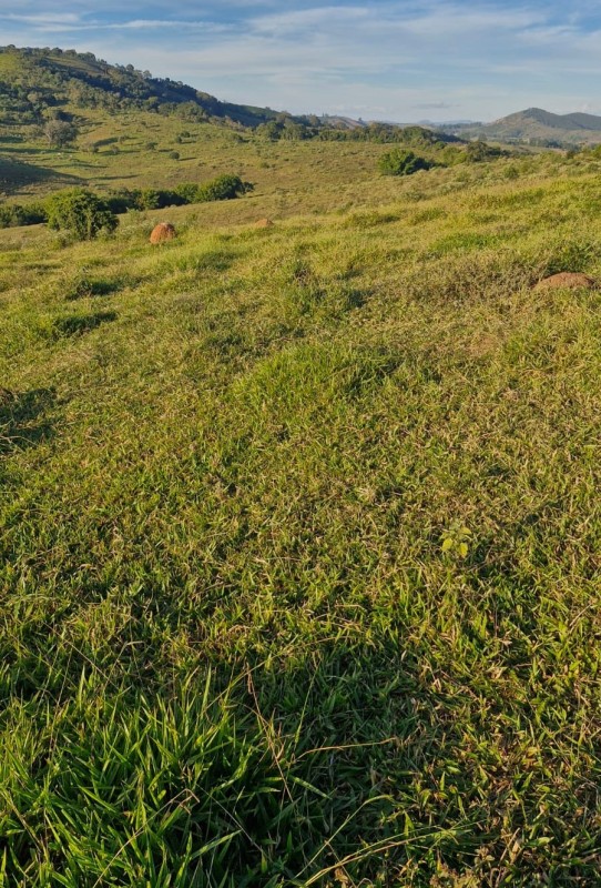 Fazenda, 142 hectares - Foto 20