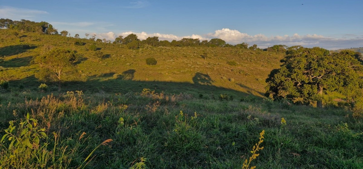 Fazenda, 142 hectares - Foto 21