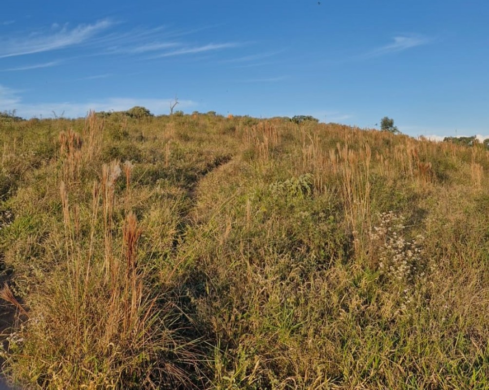 Fazenda, 142 hectares - Foto 24