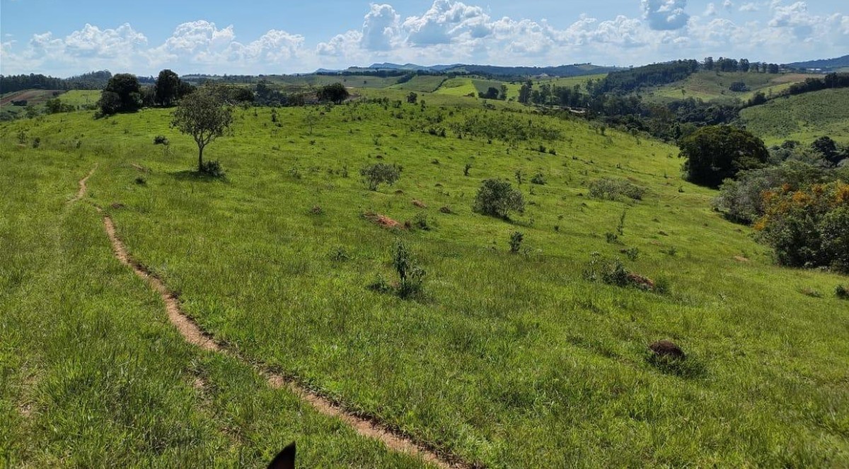 Fazenda, 142 hectares - Foto 6