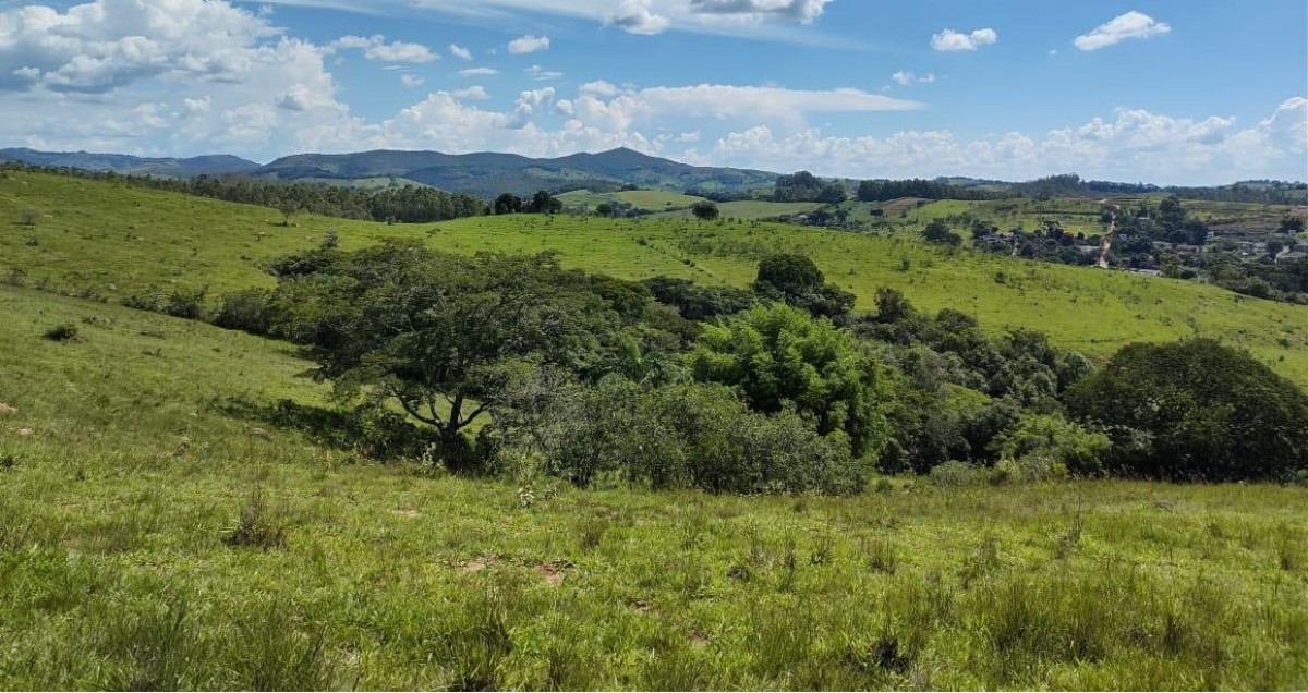 Fazenda, 142 hectares - Foto 10