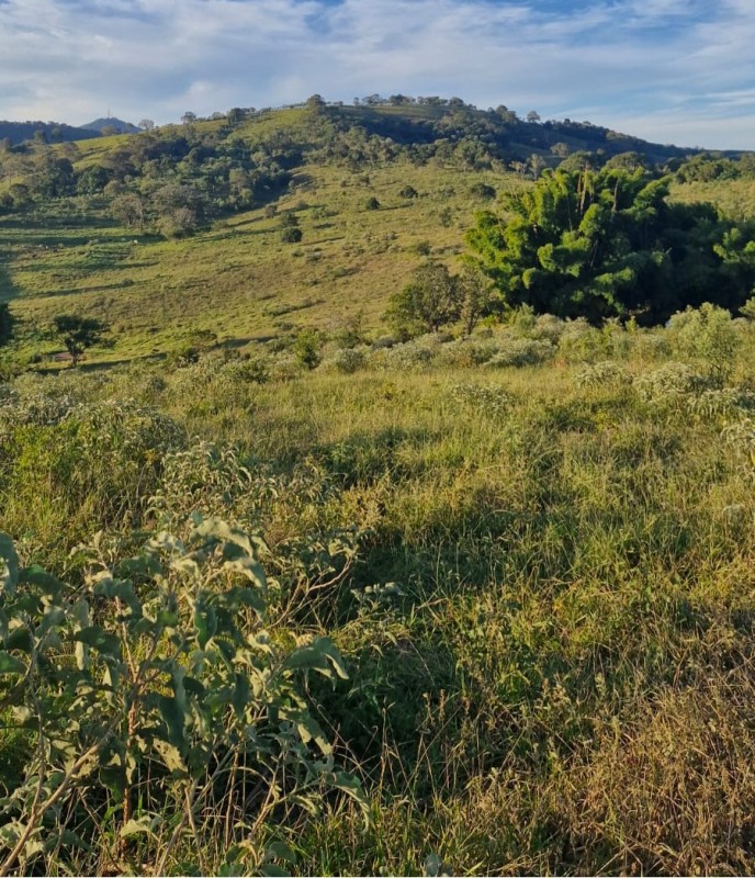 Fazenda, 142 hectares - Foto 23