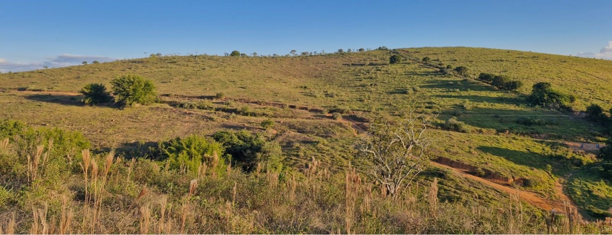 Fazenda, 142 hectares - Foto 25