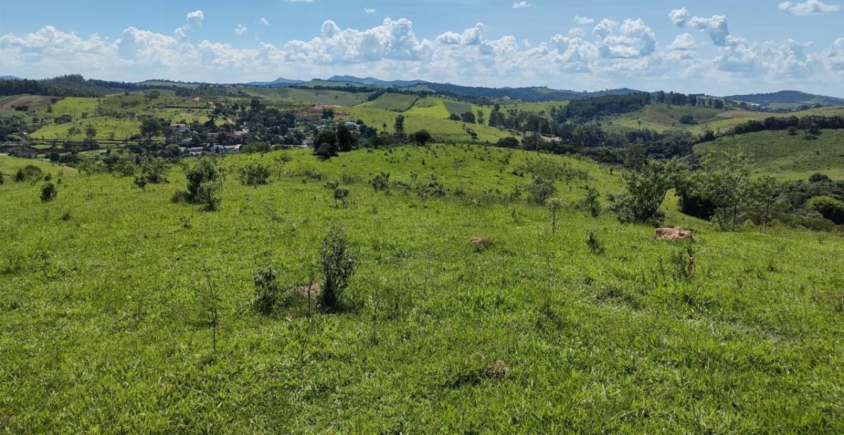 Fazenda, 142 hectares - Foto 11