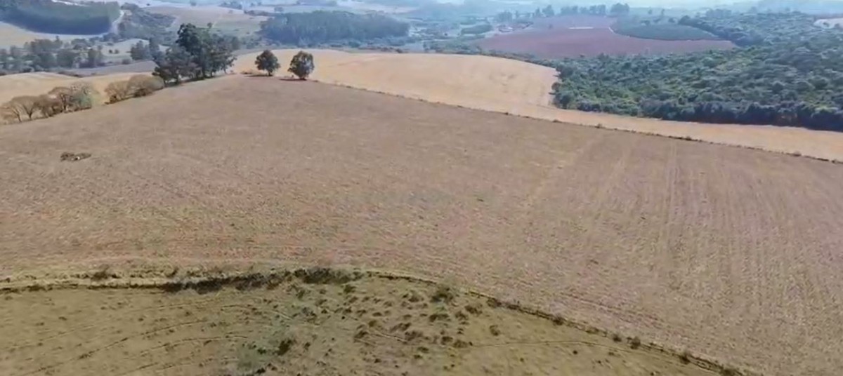 Fazenda, 157 hectares - Foto 14