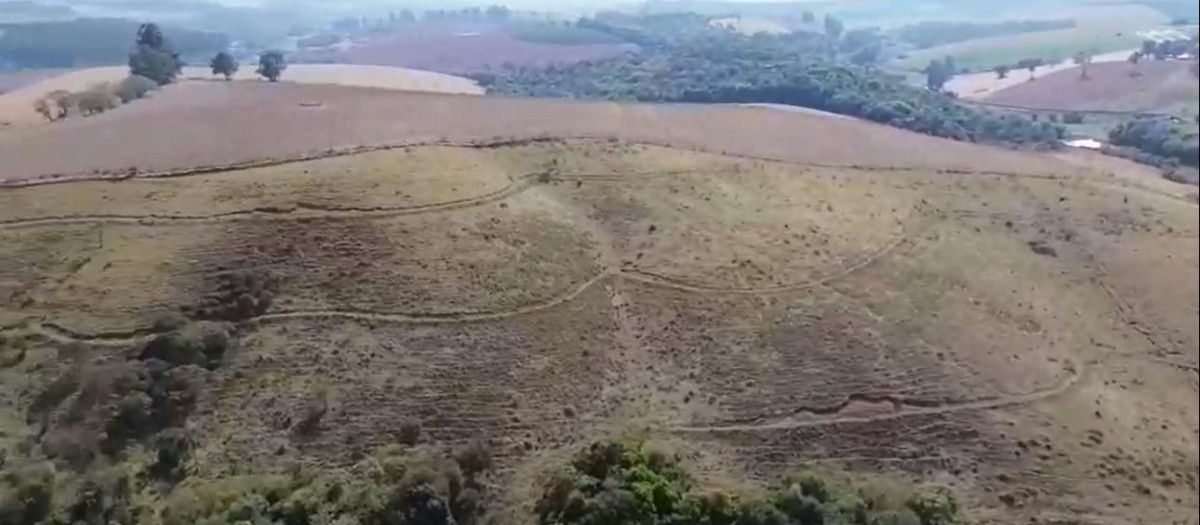 Fazenda, 157 hectares - Foto 12