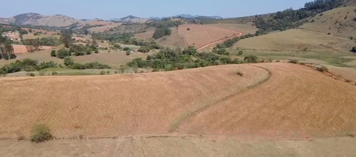 Fazenda, 157 hectares - Foto 19