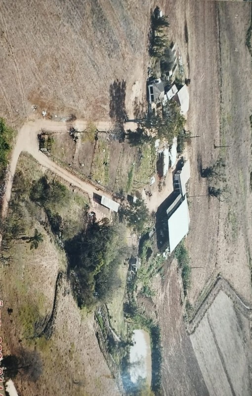 Fazenda, 19 hectares - Foto 9