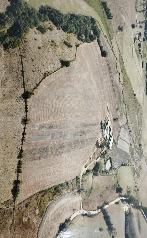 Fazenda, 19 hectares - Foto 10