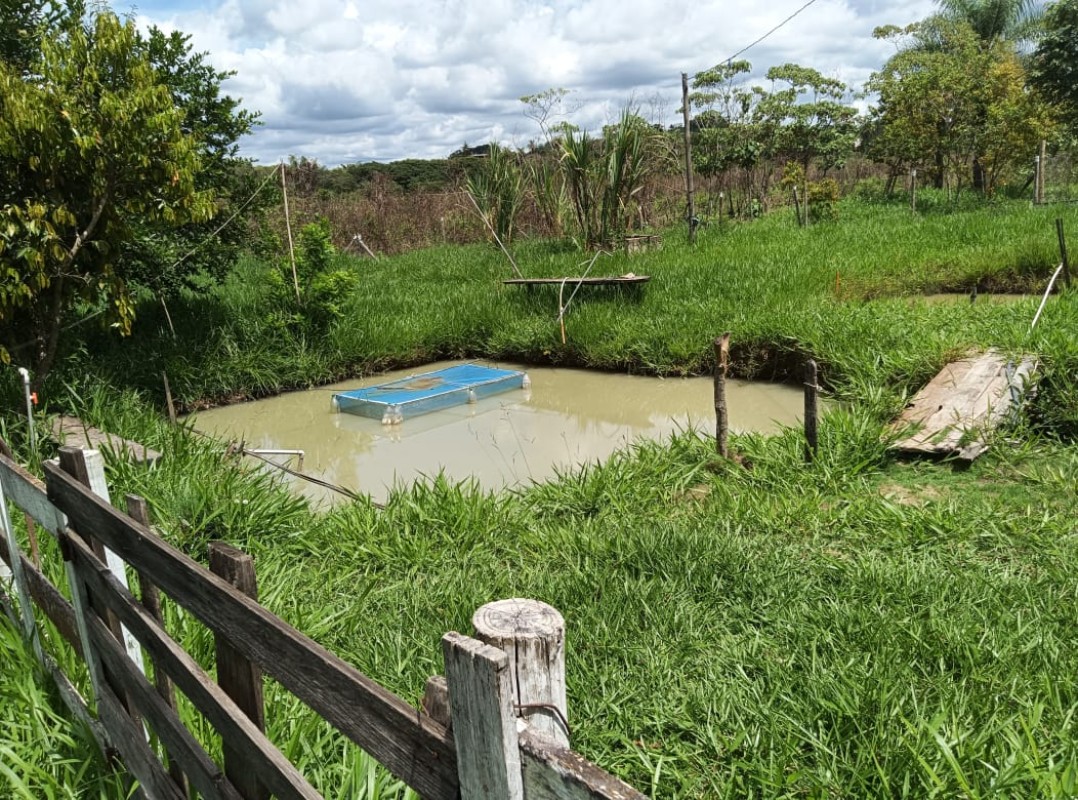 Chácara, 3 quartos, 3000 m² - Foto 23