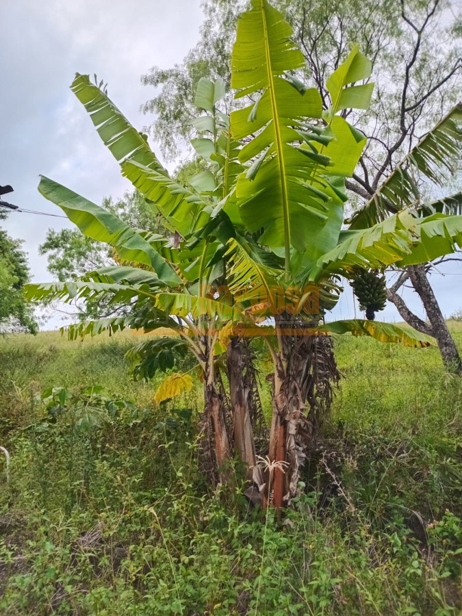 Chácara, 1 quarto - Foto 2