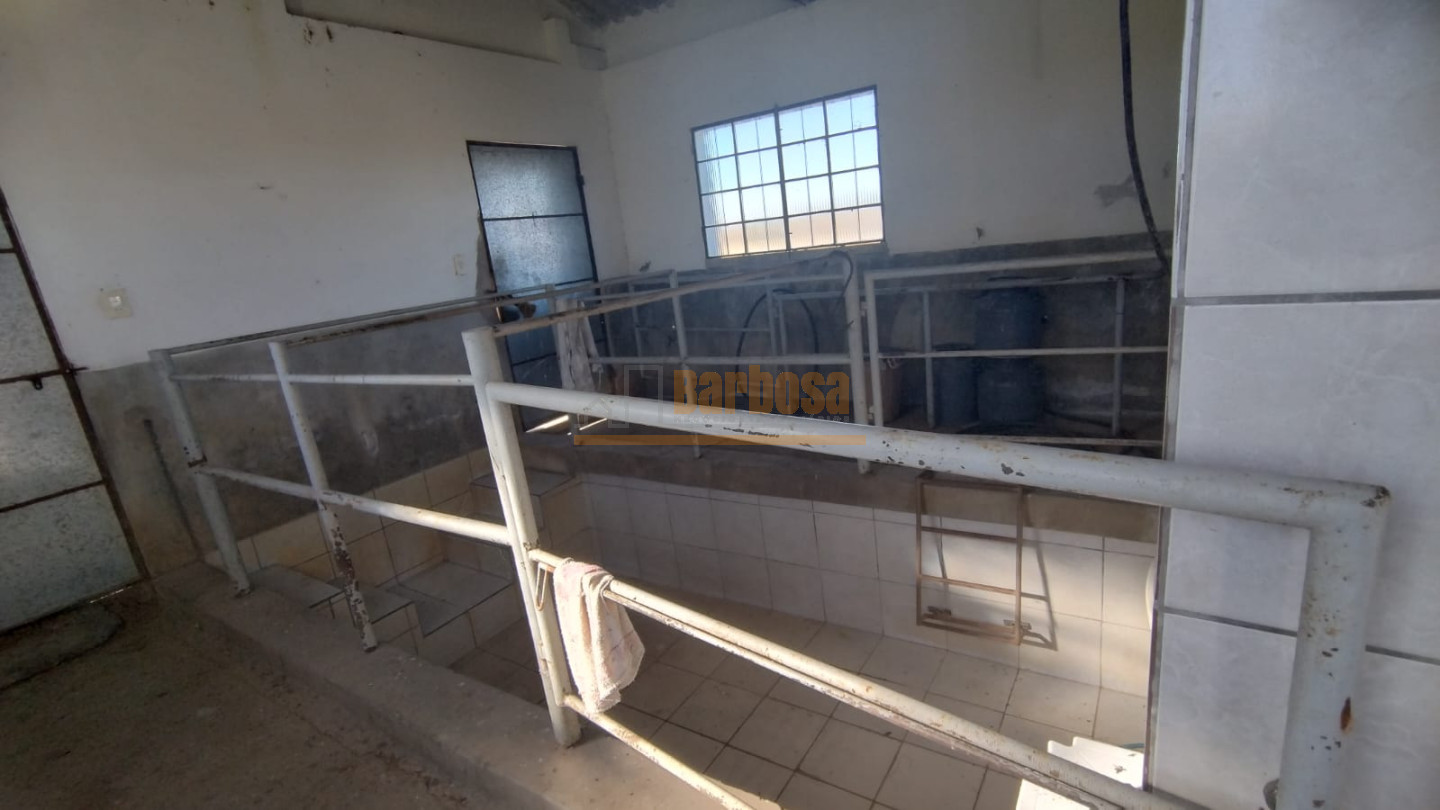 Chácara, 4 quartos - Foto 6