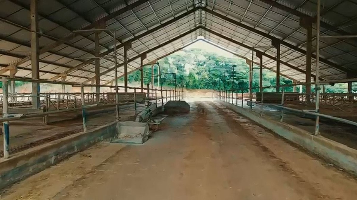 Fazenda, 160 hectares - Foto 4